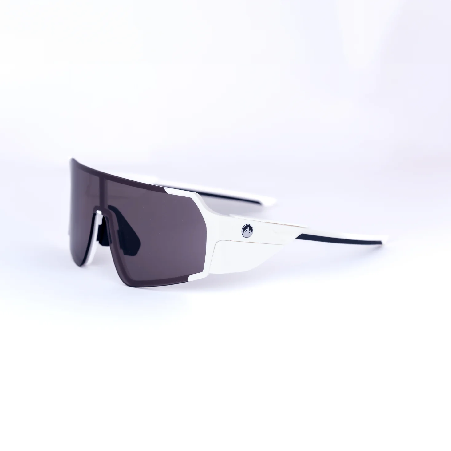 Accomplice Sunglasses