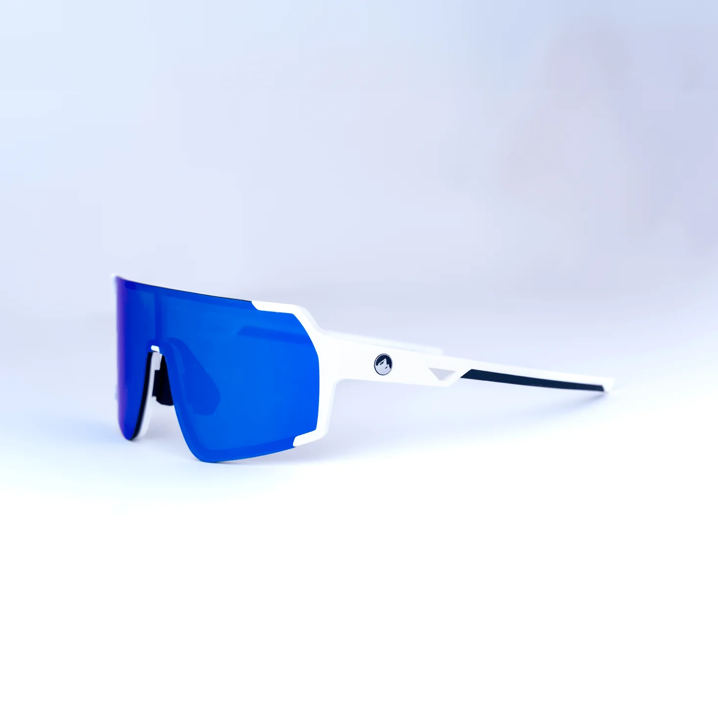 Accomplice Sunglasses