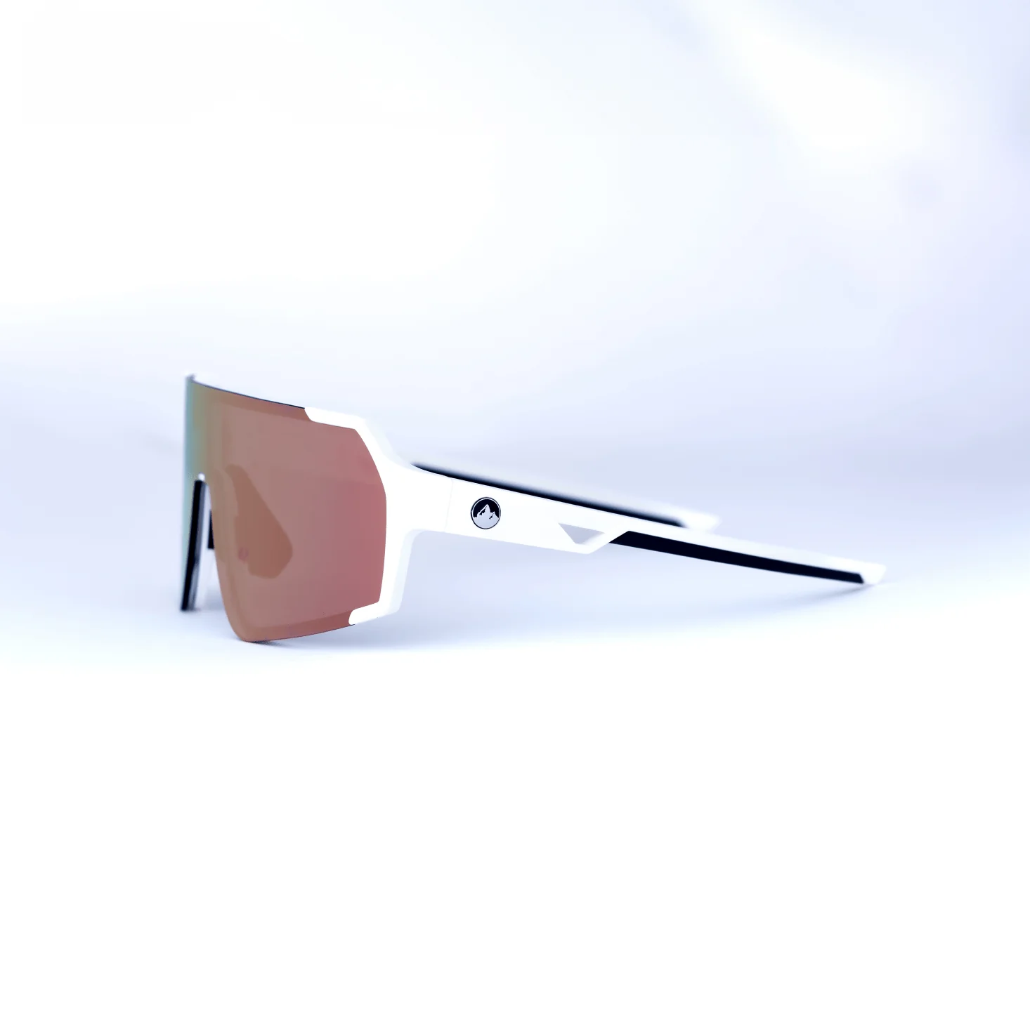 Accomplice Sunglasses